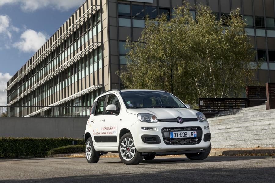  Fiat Panda Natural Power (319) 2012 года  (фото 21 из 38)